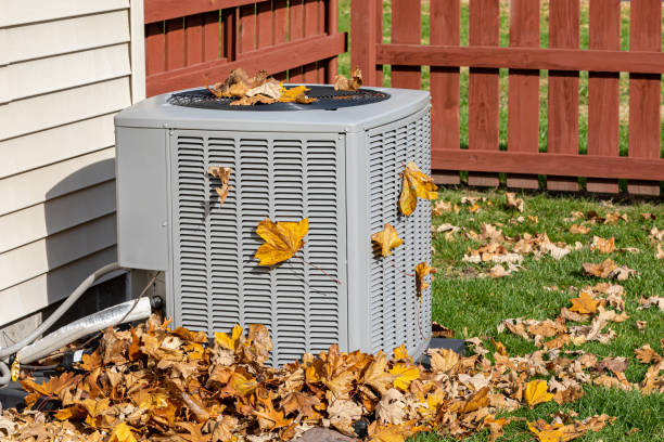 Best HVAC Maintenance Near Me  in Montevideo, MN